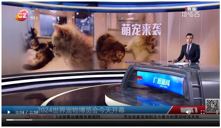 廣州臺截圖.jpg