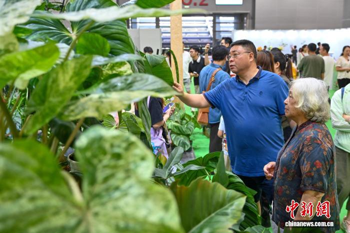 中國新聞網1.jpg