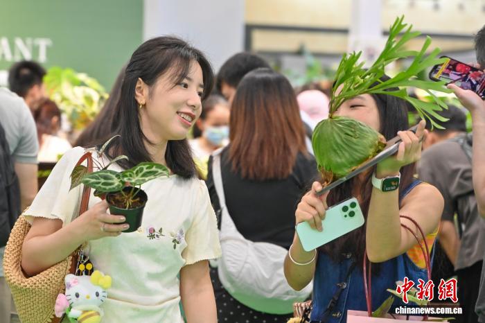 中國新聞網2.jpg